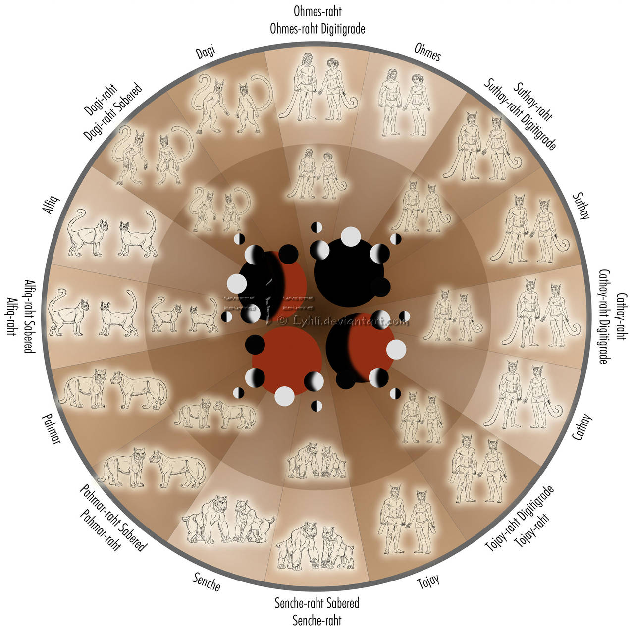 ja_kha_jay__khajiit_forms_chart_by_lyhlitheluminescent_d7jb320-fullview.jpg