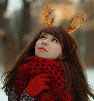 Winter antlers vol. 2 by Ledenec