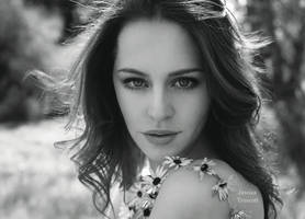 Daisy by fae-photography