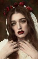 Rose by caitlinbellah