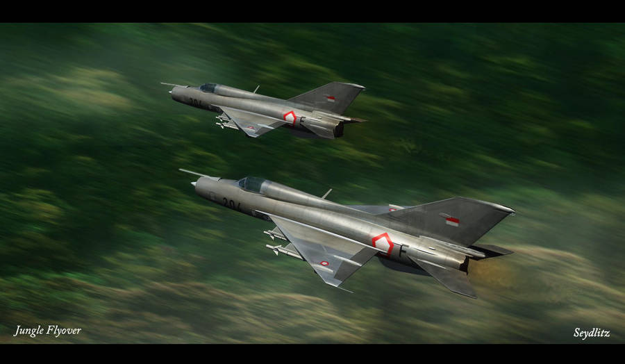 Jungle Flyover by FWSeydlitz