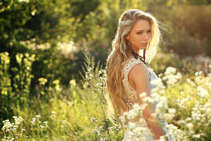 evening light by gestiefeltekatze