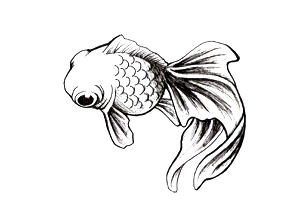 bowie the fish tattoo by notoriousstar