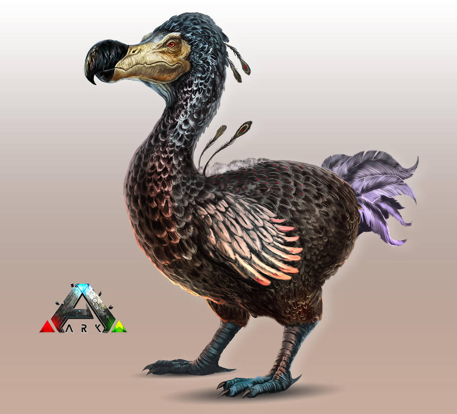 Ark Dodo Kibble Herstellen Ark Dodo Kibble Herstellen