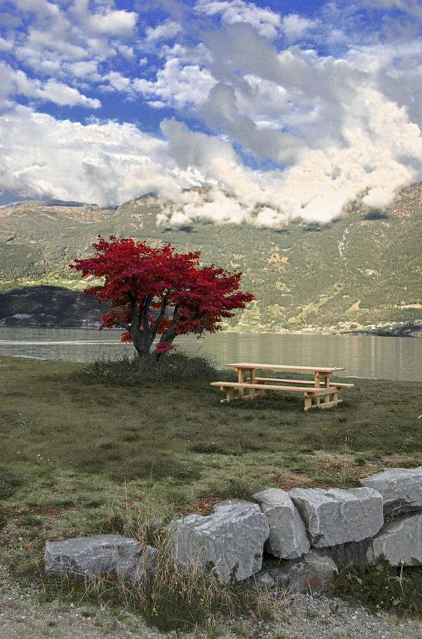 The Red Tree by citrina