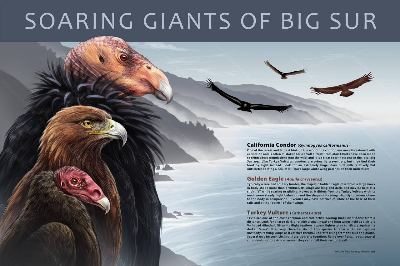 Soaring Giants by MissNysha