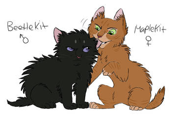 BreezeXHeather's Kits by Graystripe64