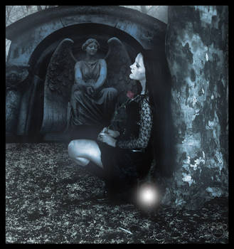 The Dark Caress by silentfuneral