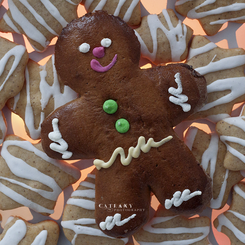 Mister Ginger by Catlaxy on DeviantArt