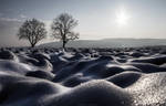 Sailers on The Snow by borda