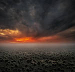 Harvest Day by borda
