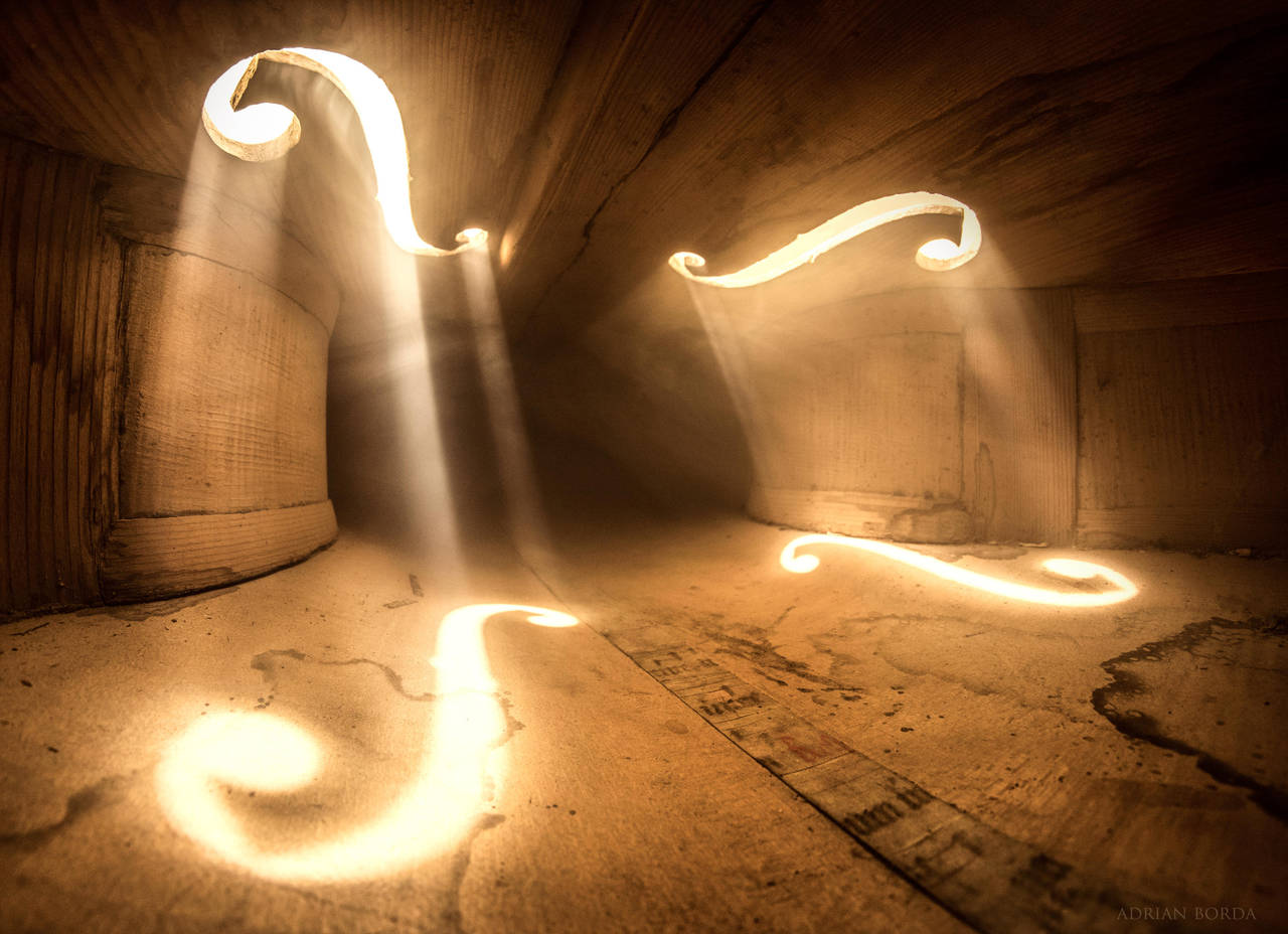 Inside Violin X by borda