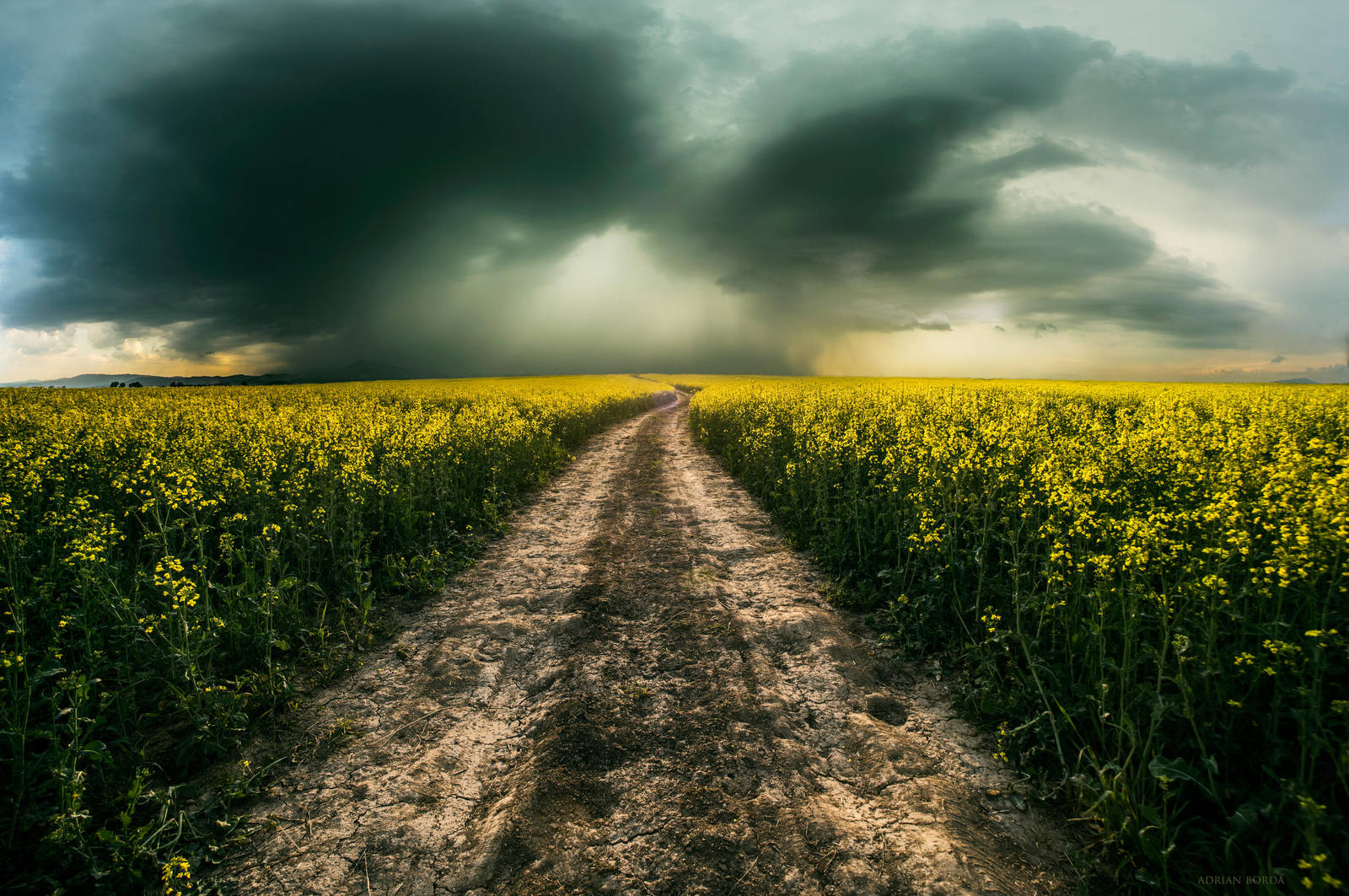 The Way of The Warrior II by borda