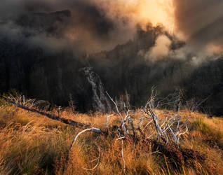 The Peaks Beyond The Pines by borda
