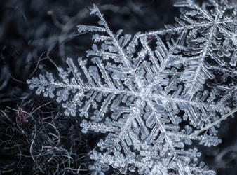 Snowflakes - Fingerprints of Stars by borda