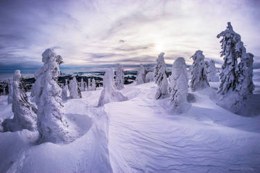 Frozen Army by borda