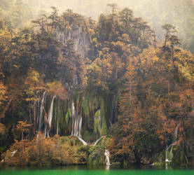 A Chinese Fall by borda