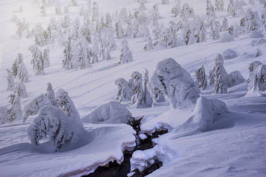 A Frozen Army by borda