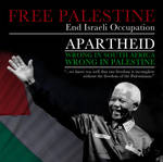 Mandela - Palestine Poster by Quadraro