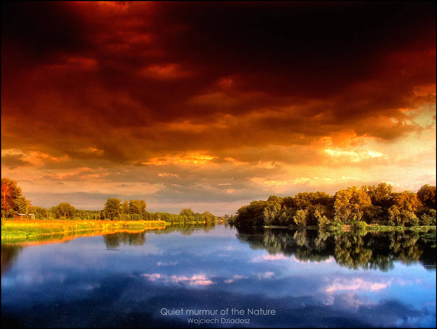 Quiet murmur of the Nature by WojciechDziadosz