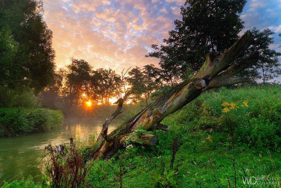 The story of the morning by WojciechDziadosz