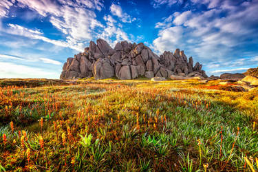 A Summers day in the Mountains by timbodon