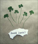 good luck by didipasstheacidtest