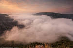 Snake mist by Annabelle-Chabert