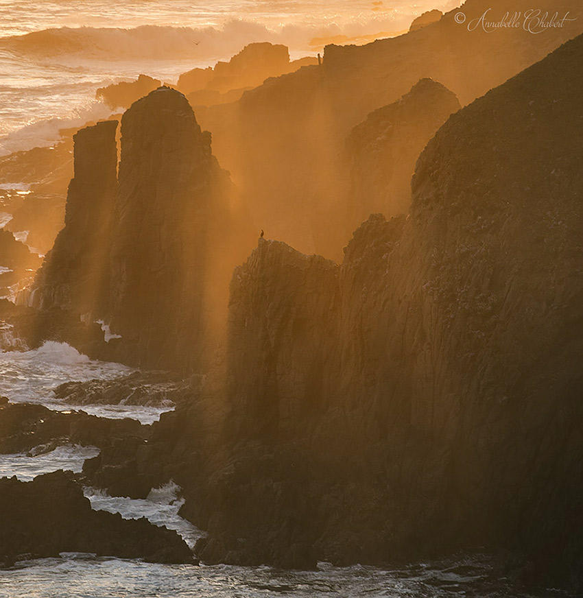 A l ombre du cormoran by Annabelle-Chabert A l ombre du cormoran by Annabelle-Chabert