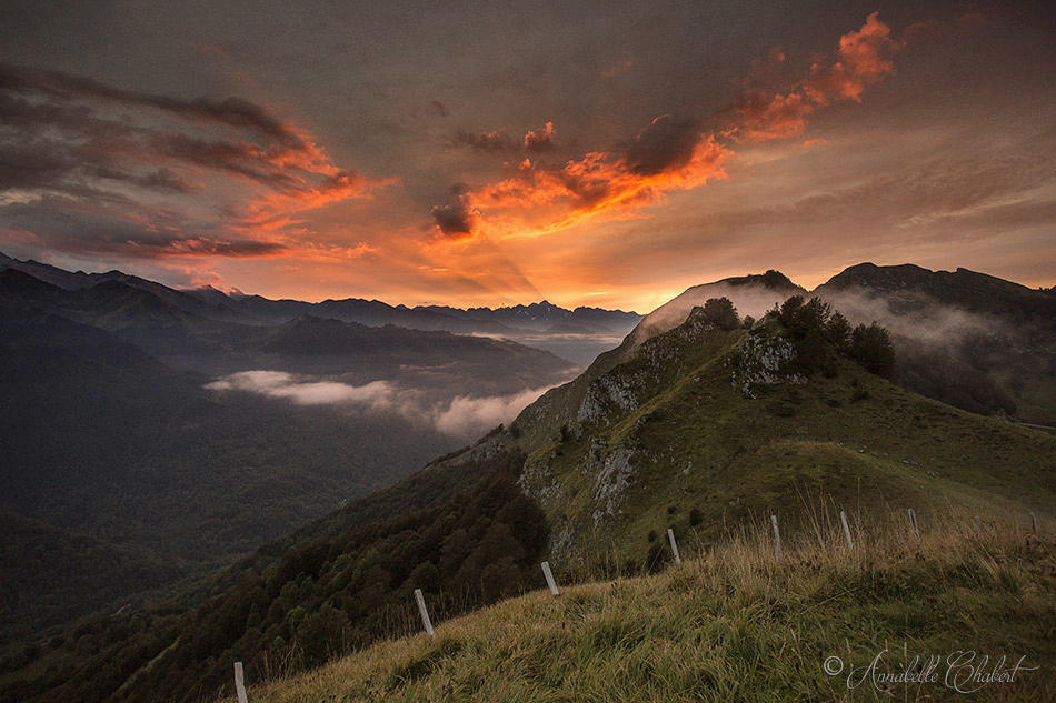 o Pireneu by Annabelle-Chabert o Pireneu by Annabelle-Chabert