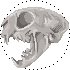 dbl9ml5-b83f228e-3df8-46a0-a1a0-9ed217b1254d.png