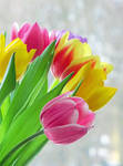.: Colorful Spring :. by VictorianPrincess