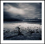 Love in Scotland by perry