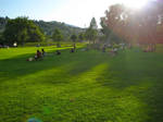 Park Life by Corazon777