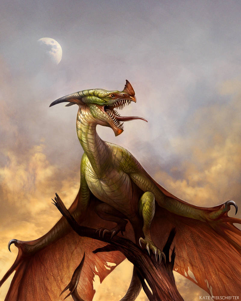Wyvern at Dusk by KatePfeilschiefter