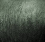 Antique Texture 21 by Inthename-Stock