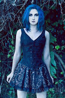 Nightfall by Sanghee