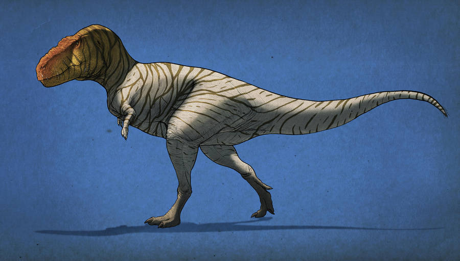 Tyrannosaurus rex by Thek560