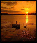 ON GOLDEN POND by gordonrae