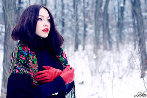 Lost in sylver by cocainacola