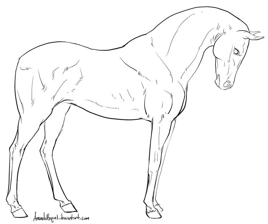 Standing Horse Lineart by Manic-and-Monstrous