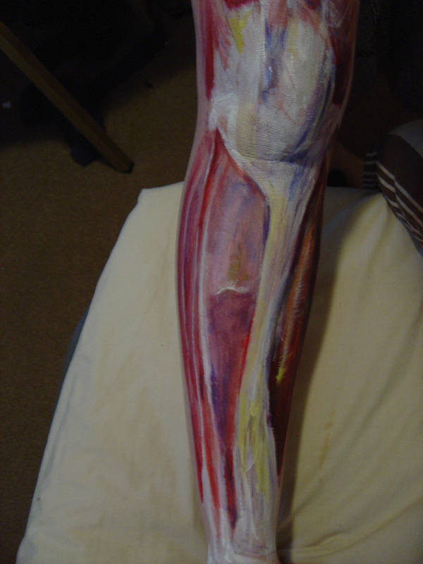 Anatomical Body Painting By Valiumfrog On Deviantart