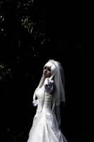 The White Queen- Coming by Maci1702