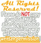 Simple All Rights Reserved! Banner (Orange) by Drache-Lehre