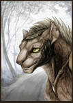 Harro - portrait by hontor Harro - portrait by hontor