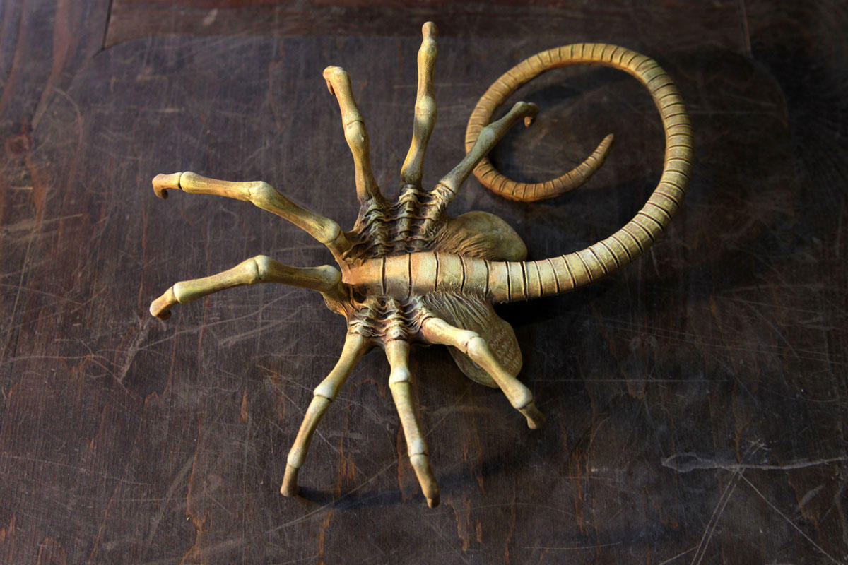 Facehugger by hontor