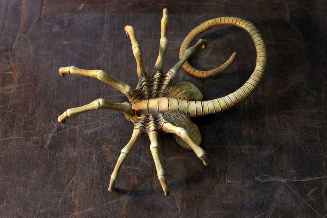 Facehugger by hontor
