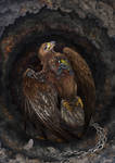 Broken birds by hontor