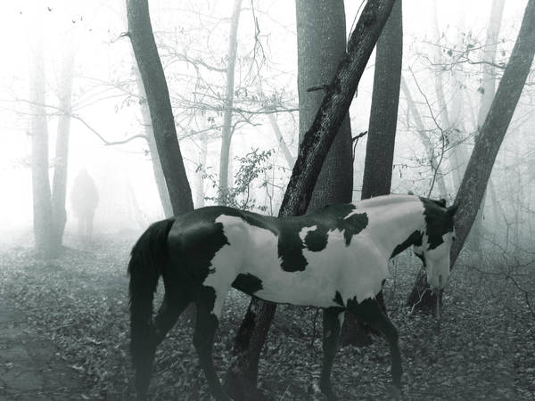 Through the Mist by Queen---of---Spades