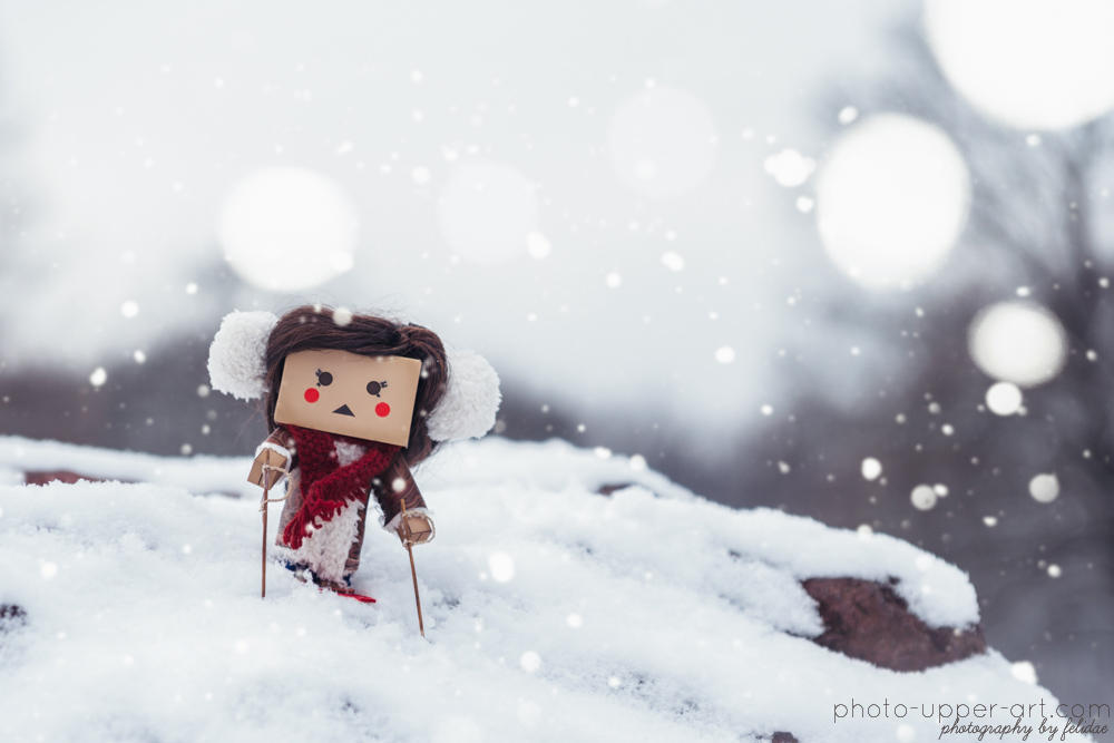 Spass im Schnee - Teil 2 by FeliDae84